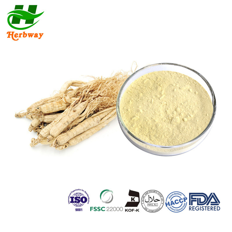 Poudre D'extrait De Racine De Ginseng Panax Bio 80% Ginsénosides - Qualité, Expiration 2027